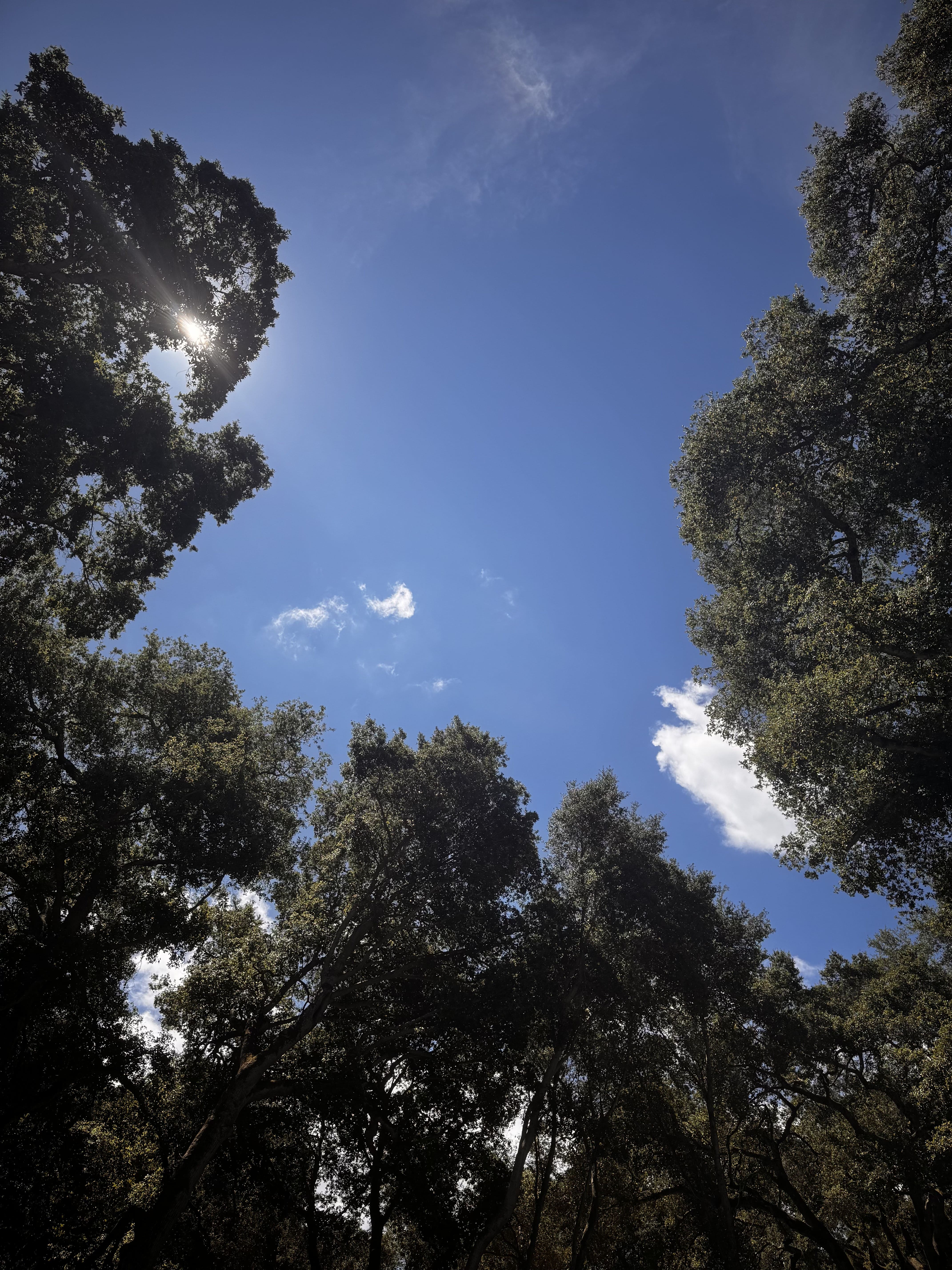 Blue Skies Background Image